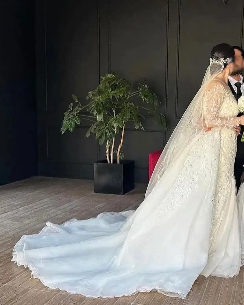 لباس عروس ژرنالی مدل ماهی سایز ۴۸-۳۸|لباس|گرگان, |دیوار