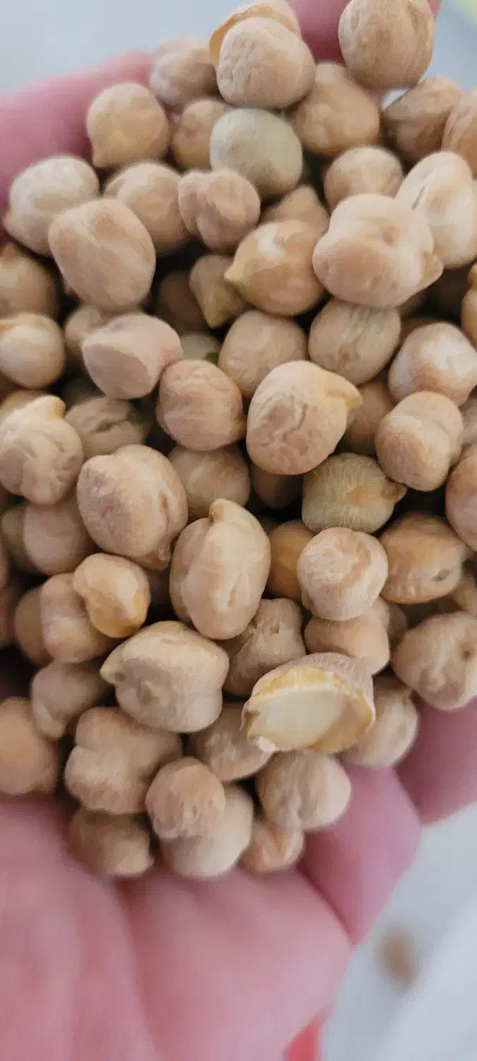 نخودآبگوشتی بهاره محلی کرمانشاه زودپزوبسیارخوش طعم|خوردنی و آشامیدنی|سرپل ذهاب, |دیوار