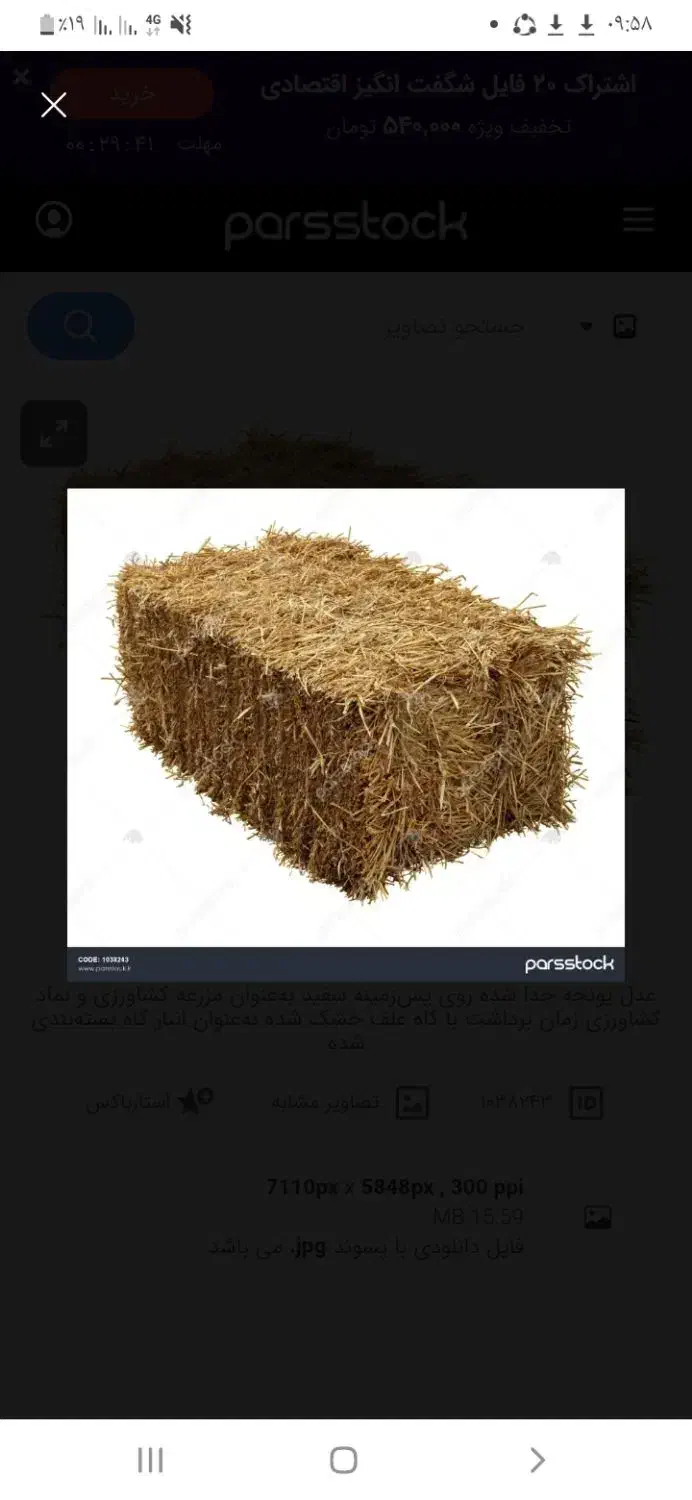 یونجه|لوازم جانبی حیوانات|زنجان, |دیوار