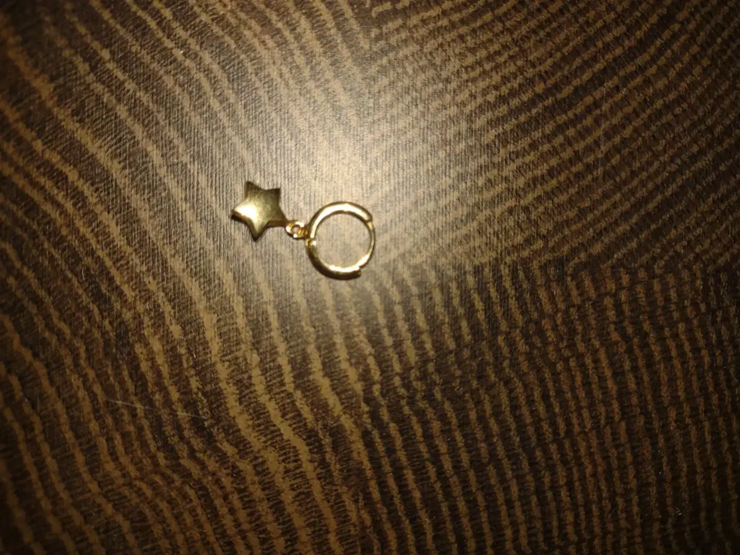 گوشواره طلا گم شده|اشیا|شیراز, ابیوردی|دیوار