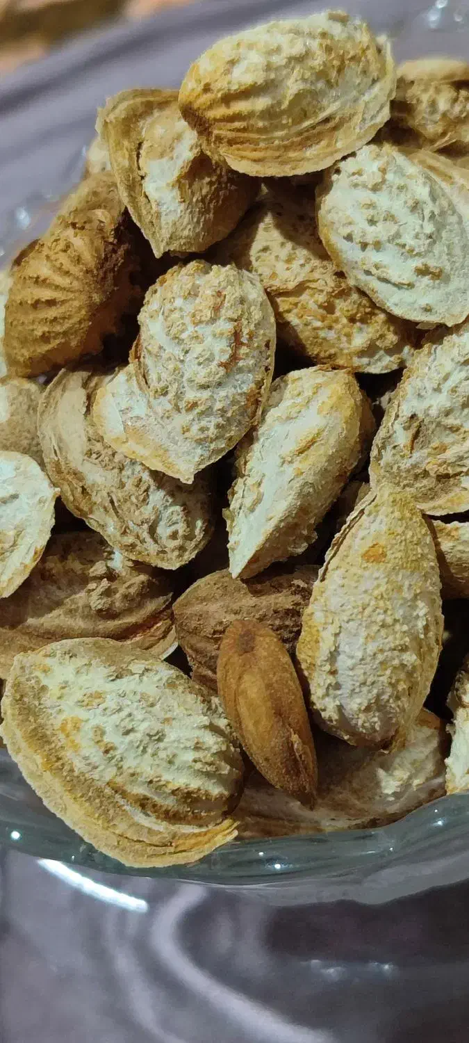 بادام کاغذی اعلا  اذر دیرگل|خوردنی و آشامیدنی|انزل, |دیوار