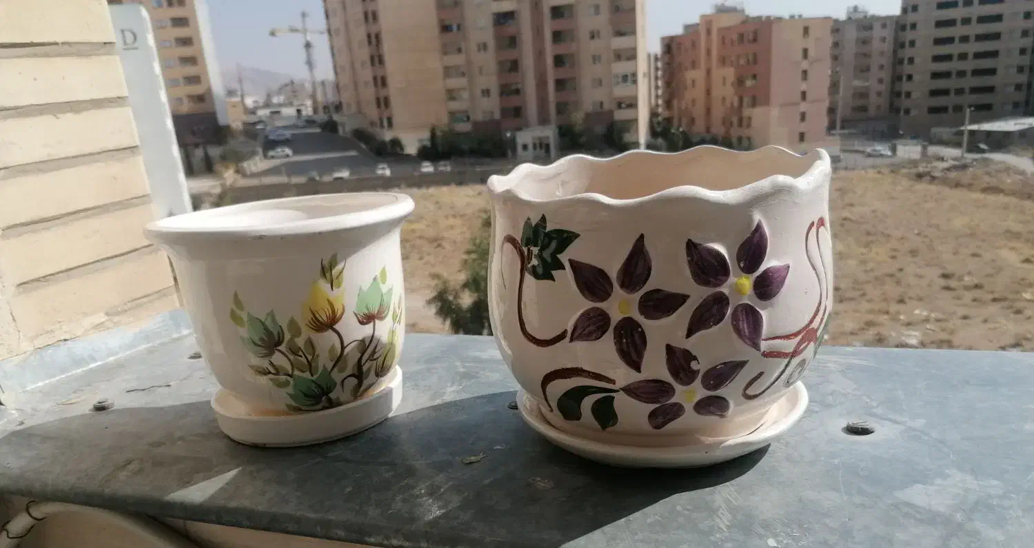 گلدان|گل و گیاه طبیعی|صدرا-فارس, فاز ۱|دیوار