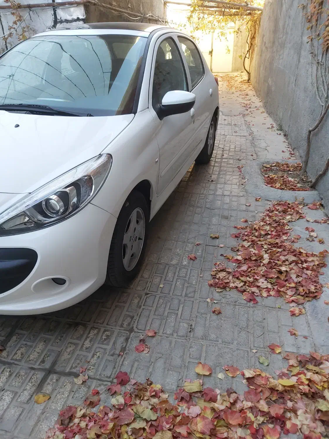 ۲۰۷ پانا|خودرو سواری و وانت|قوچان, |دیوار