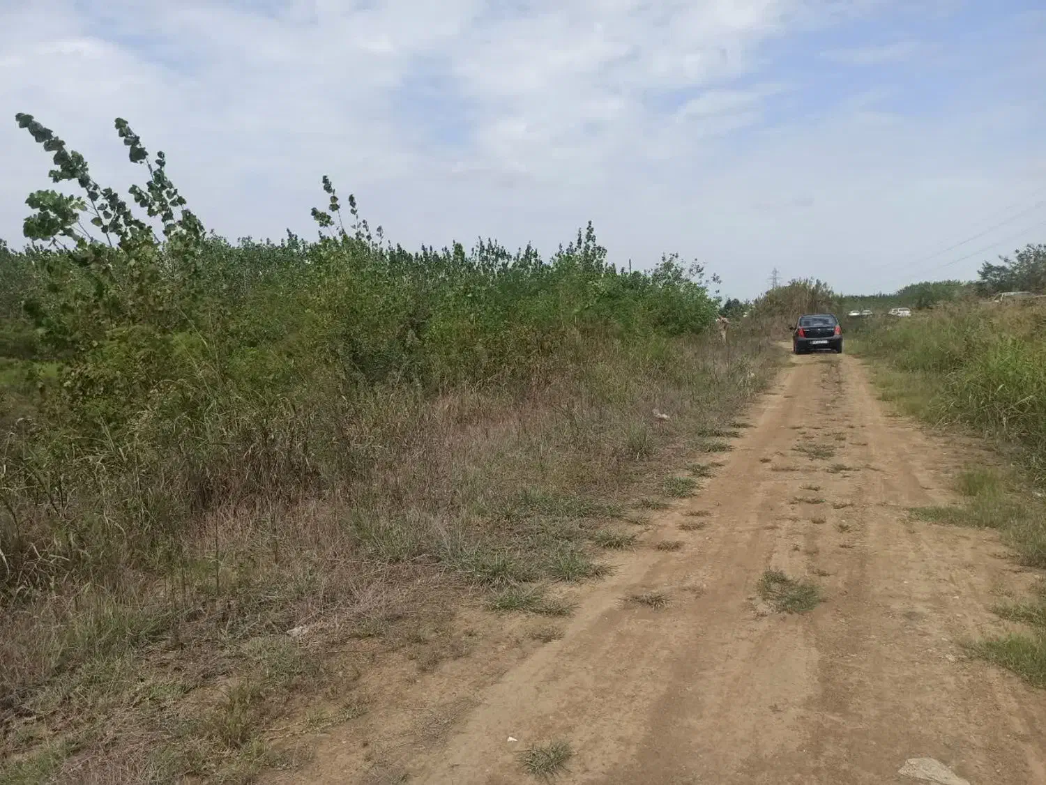 فروش زمین|فروش زمین و ملک کلنگی|طاهرگوراب, |دیوار