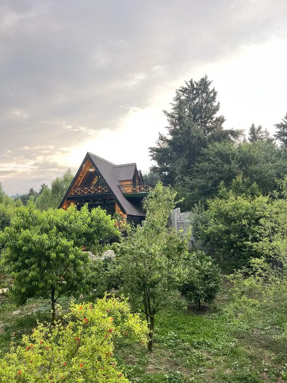 کلبه سوییسی جنگلی کادوس ،بلیران|اجارهٔ کوتاه‌مدت ویلا و باغ|آمل, |دیوار