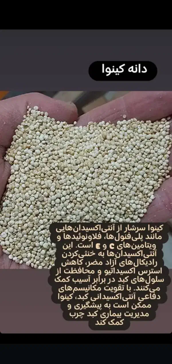 کینوا برای کودکان وسالمندان|خوردنی و آشامیدنی|شیراز, شهرک امام حسن|دیوار