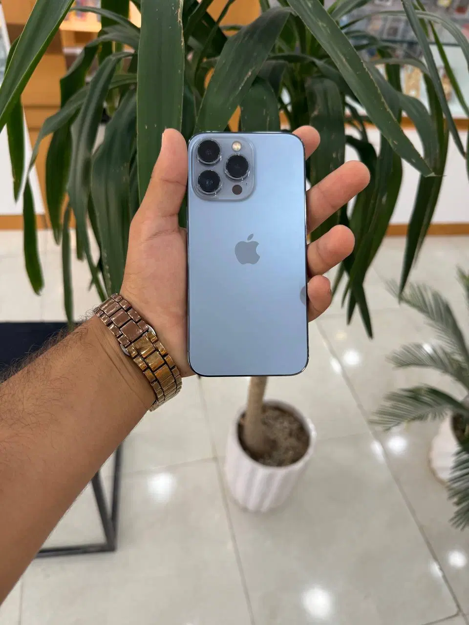 iPhone 13 Pro|موبایل|تربت جام, المهدی|دیوار