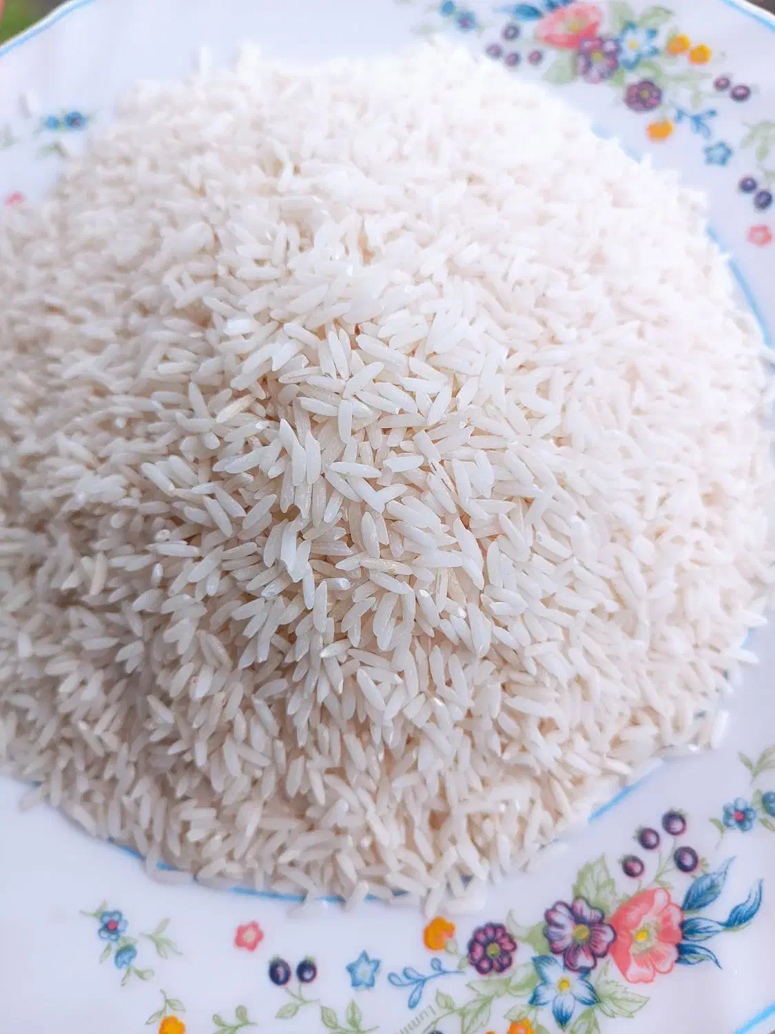 برنج درجه یک هاشمی سورتینگ زده|خوردنی و آشامیدنی|رشت, فرزانه|دیوار