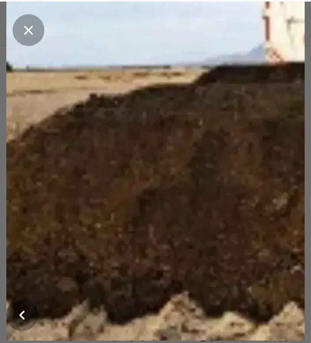 کود گاوی|گل و گیاه طبیعی|ارژن, |دیوار