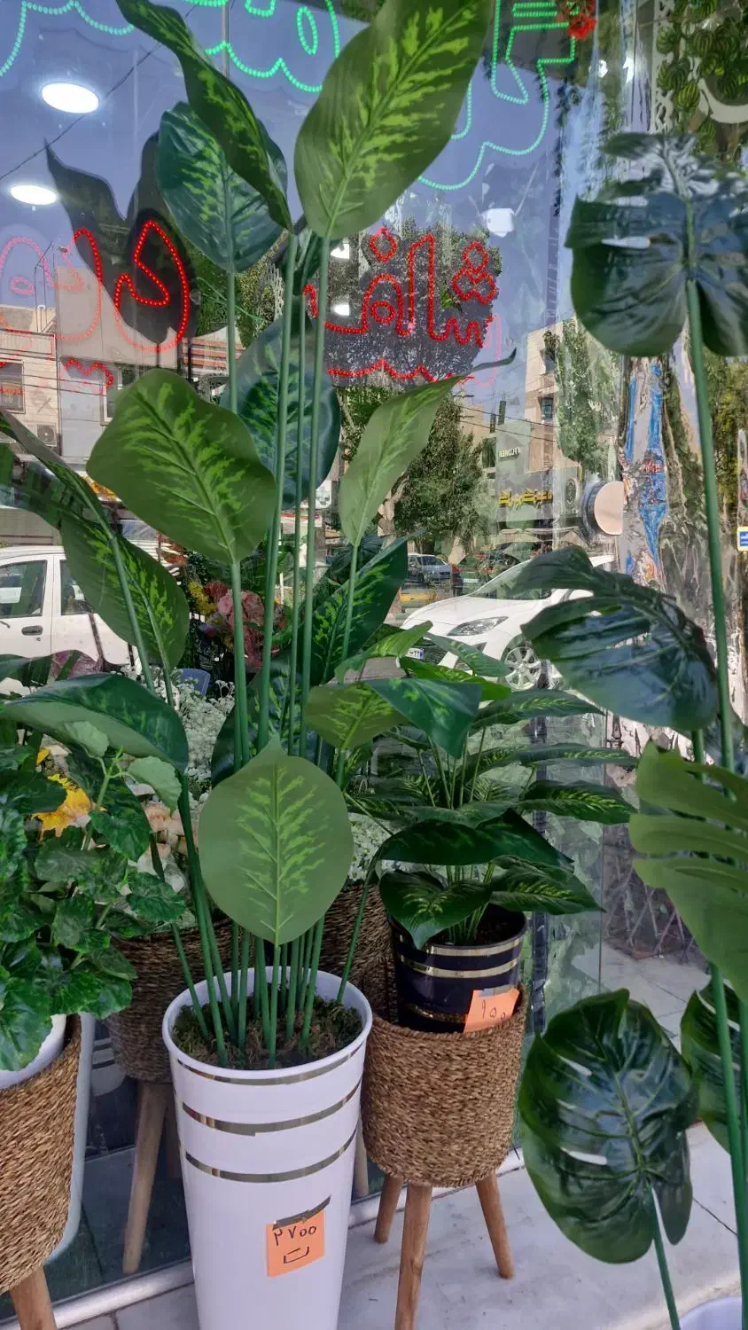 گلدان بزرگ ویک متری برگ برگ انجیری|گل مصنوعی|فردیس, فردیس|دیوار