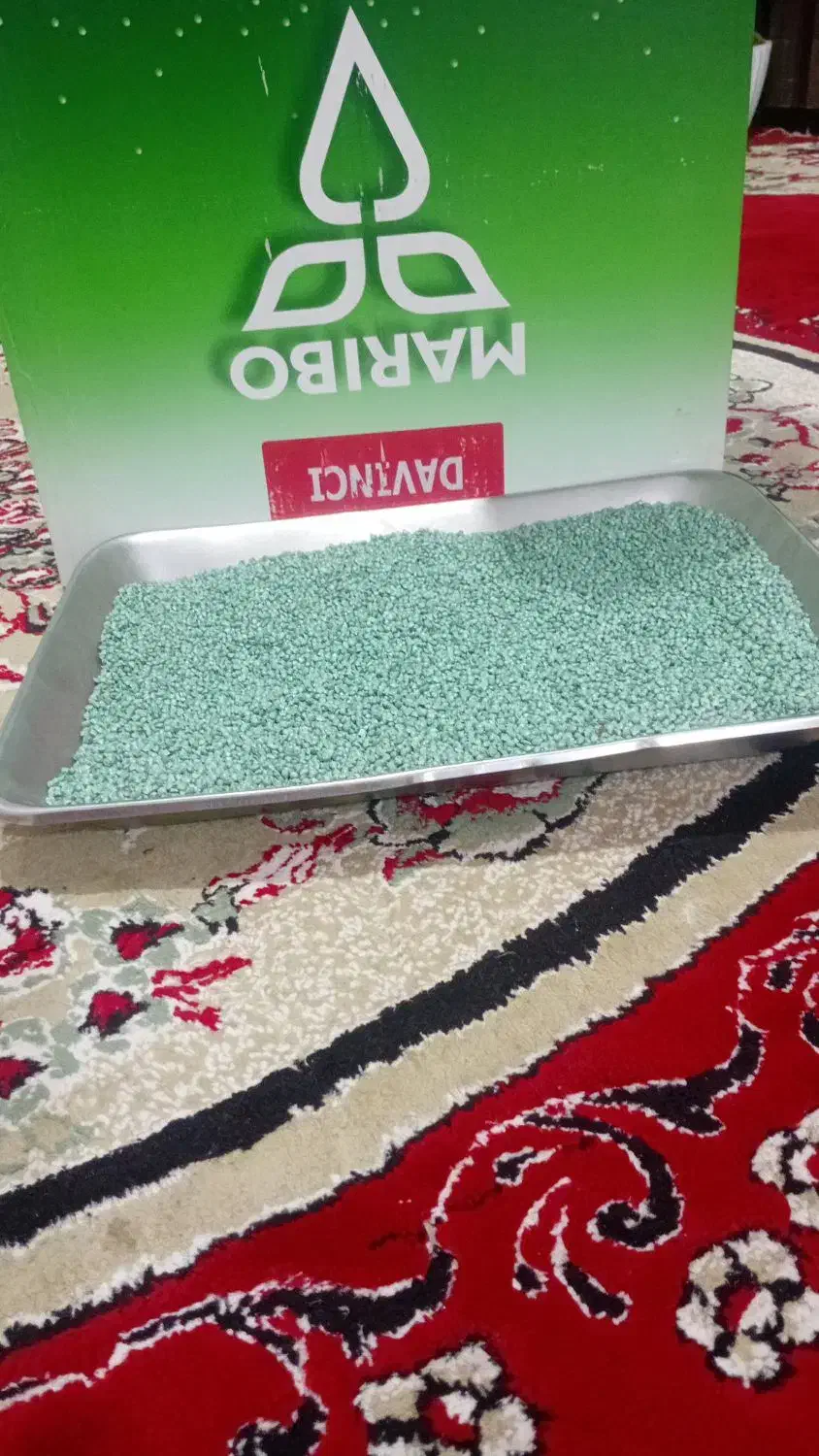 بزر چقندر داوینچی|گل و گیاه طبیعی|کلاله, |دیوار