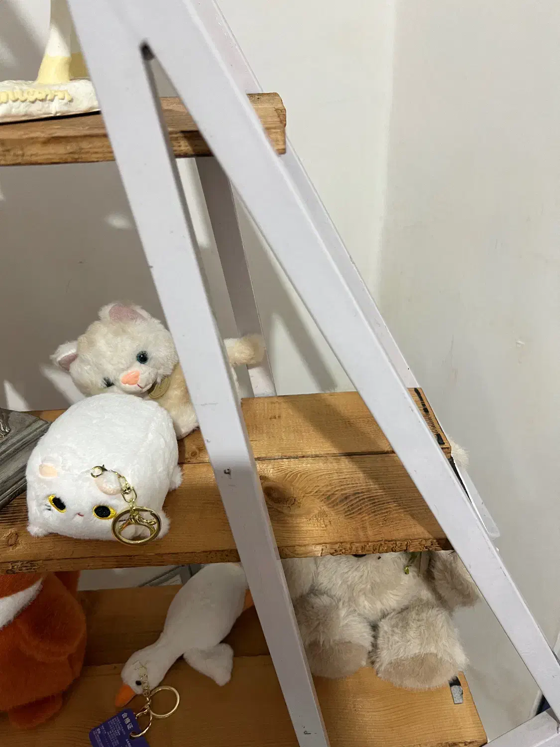 استند فلزی|کتابخانه، شلف، قفسه‌های دیواری|رشت, خمیران زاهدان|دیوار