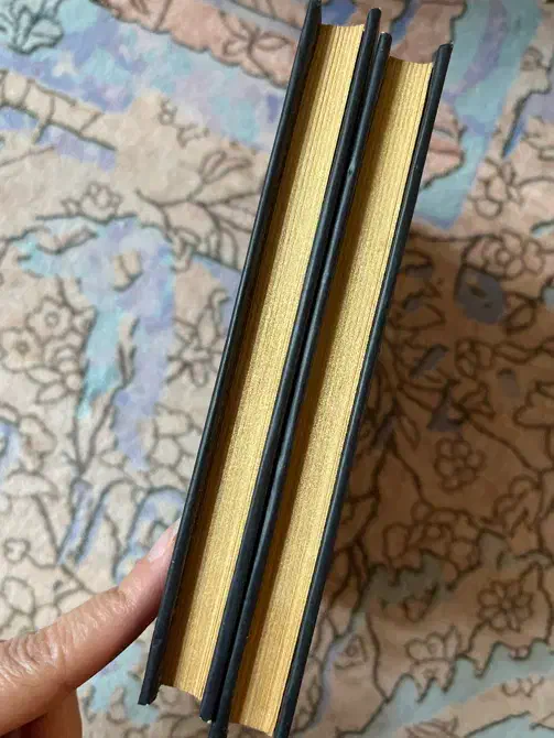 دو عدد کتاب رمان|کتاب و مجله ادبی|رشت, پل تالشان|دیوار