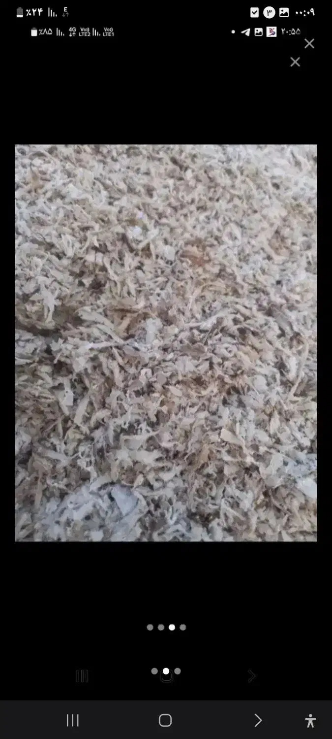 تفاله چغندر قند|عمده‌فروشی|قیدار, |دیوار