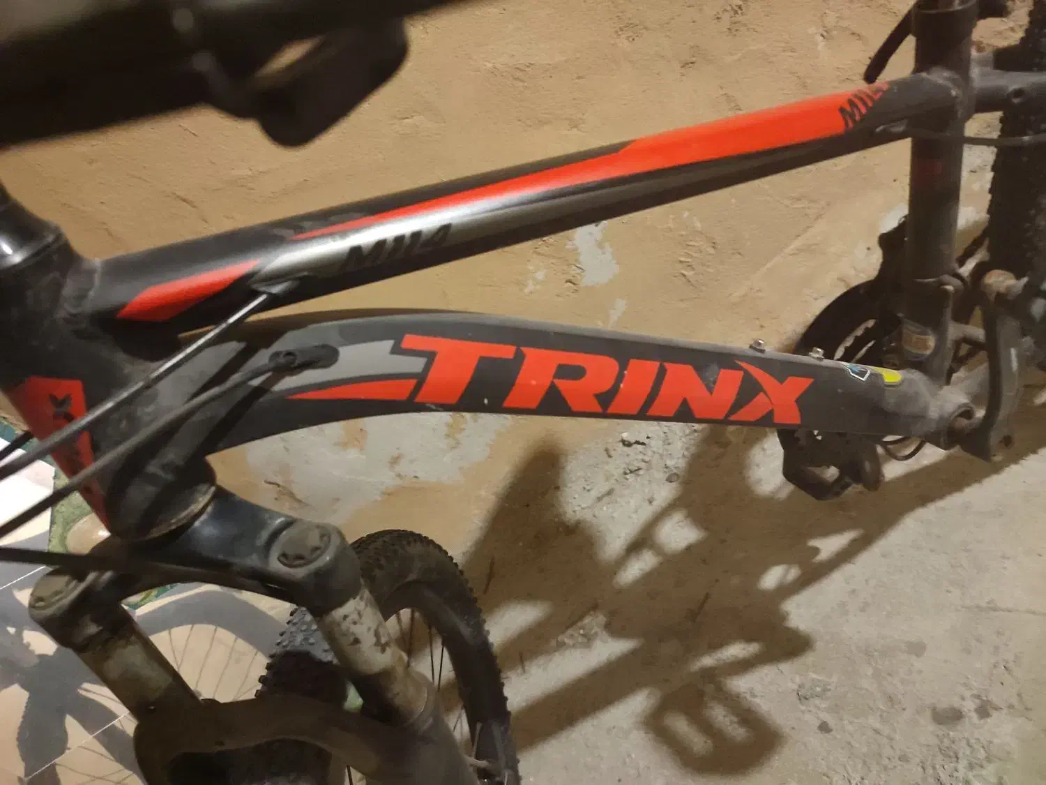 دوچرخه|دوچرخه، اسکیت، اسکوتر|قشم, |دیوار