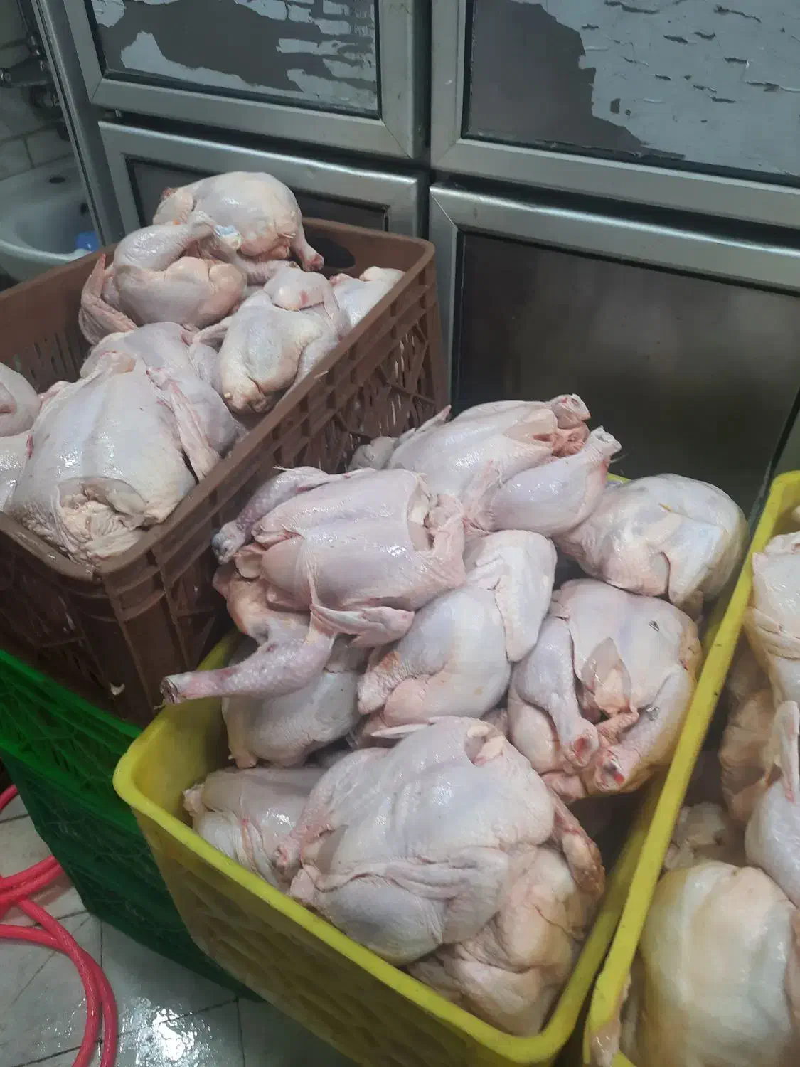 کارگر در مغازه مرغ ماهی خرده فروشی|استخدام خدمات فروشگاه و رستوران|تهران, مینای شمالی (مخبر)|دیوار