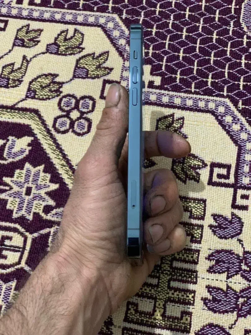 ایفون ۱۲پرو|موبایل|تالش, هشتپر|دیوار