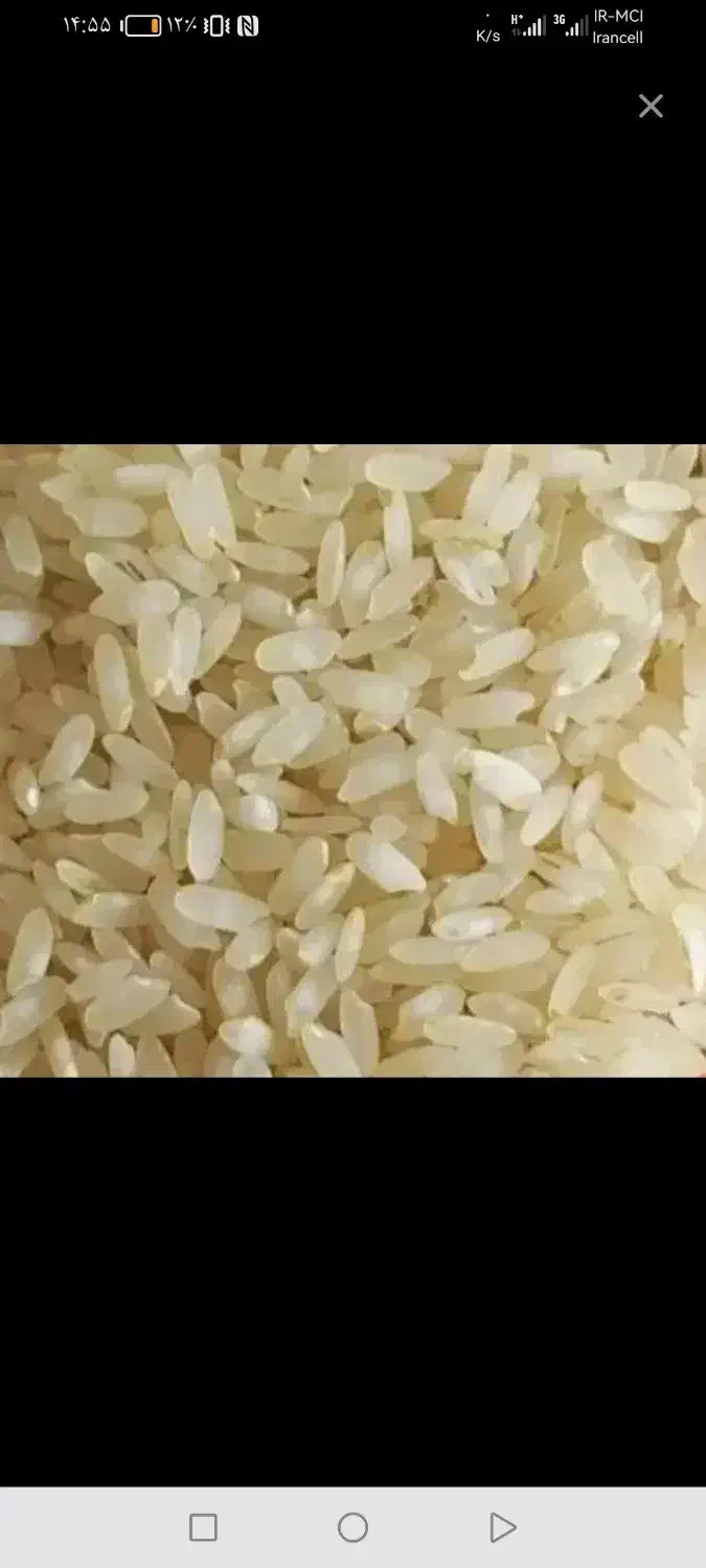 خورده برنج و نیچک کامفیروزی|خوردنی و آشامیدنی|شیراز, آزادگان|دیوار