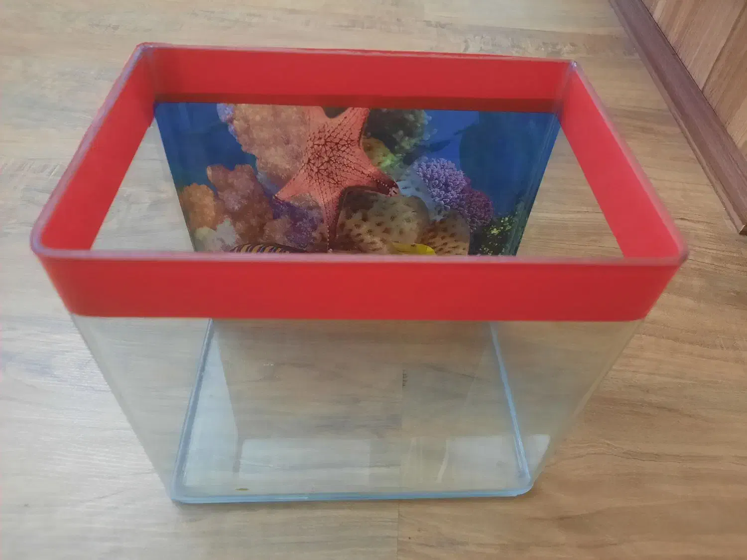 آکواریوم شیشه خم|ماهی|تبریز, |دیوار