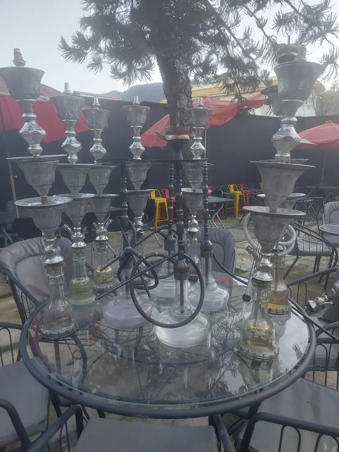 فروشنده وسایل کافه و رستوران|کافی‌شاپ و رستوران|رامسر, |دیوار