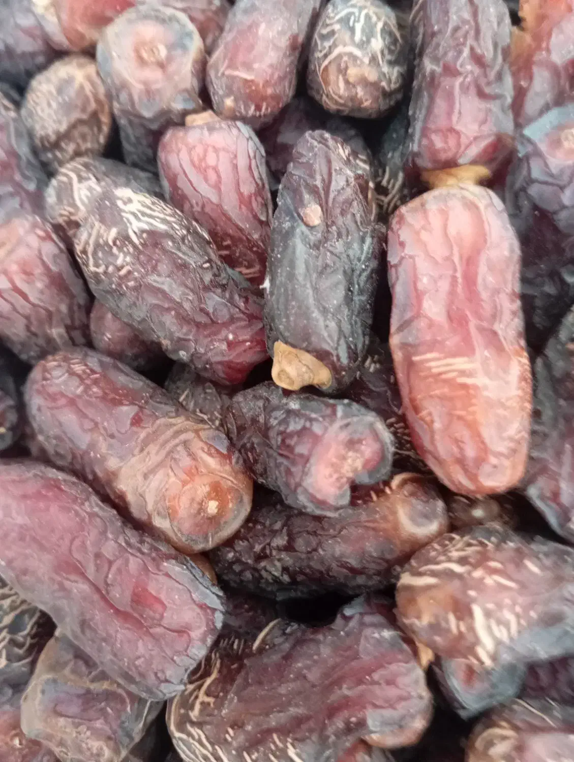 خرما پیارم امسالی گوشتی تازه نرم|خوردنی و آشامیدنی|یزد, |دیوار