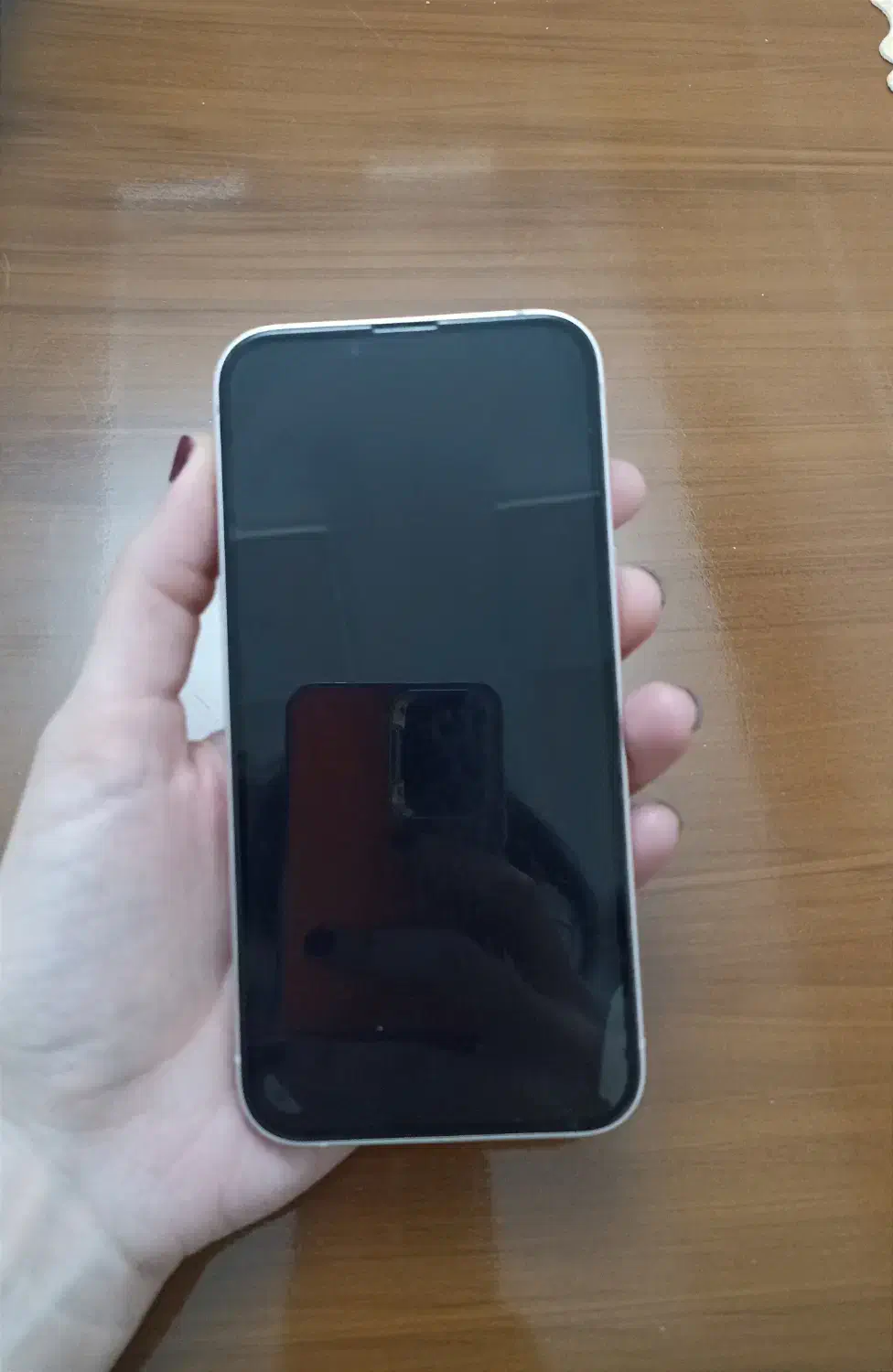 آیفون ۱۳ نرمال|موبایل|بندر انزلی, ساحل قو|دیوار