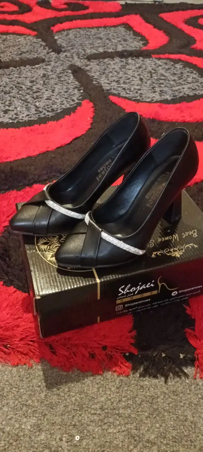 کیف مجلسی|کیف، کفش، کمربند|خوی, |دیوار