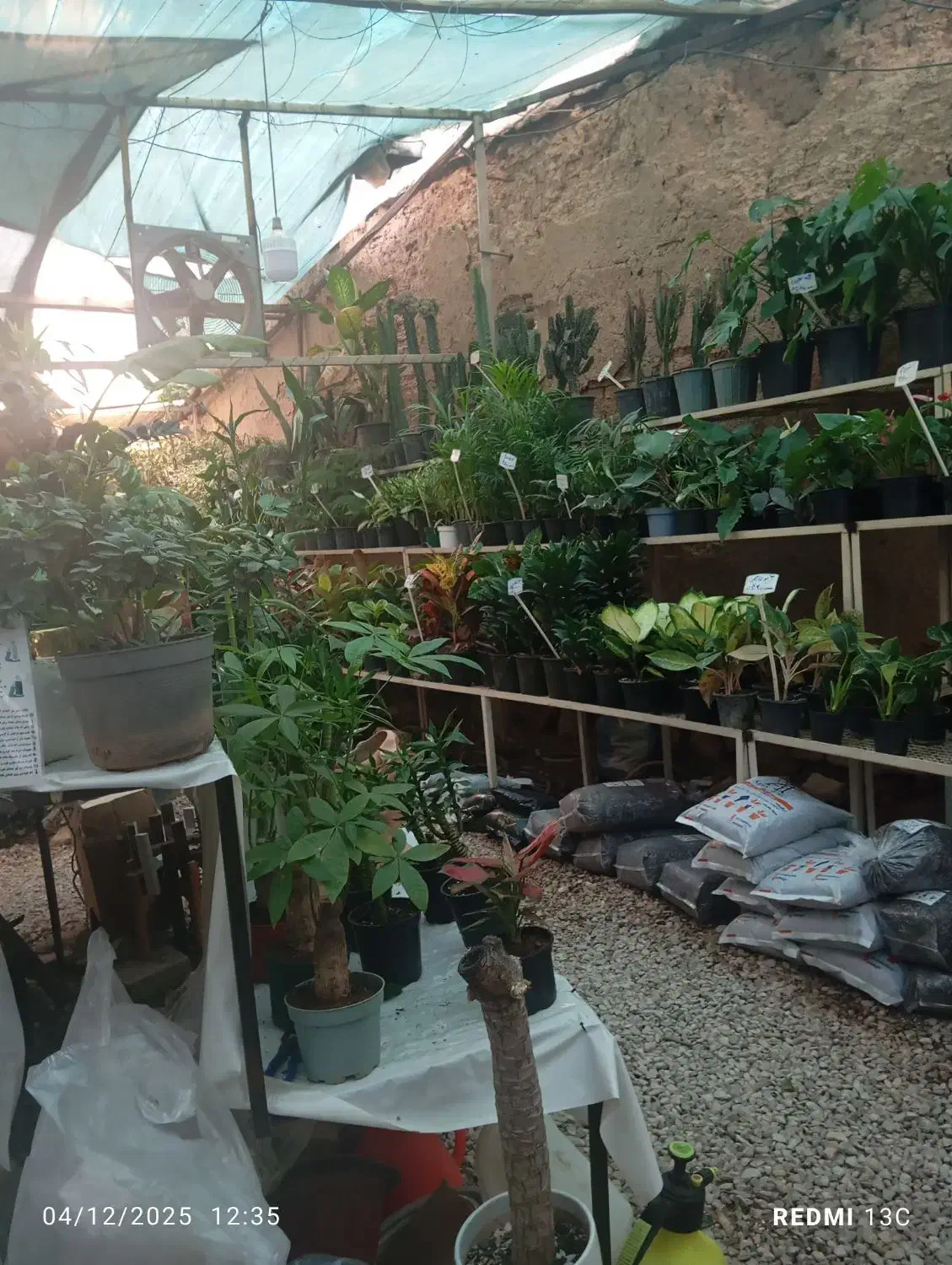 نیروی کار آقای و خانم|استخدام بازاریابی و فروش|اسفراین, |دیوار