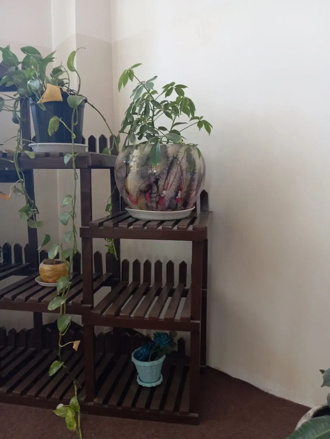 کناره یک متر در 5نیم 7عدد گلدان|فرش|سلماس, |دیوار