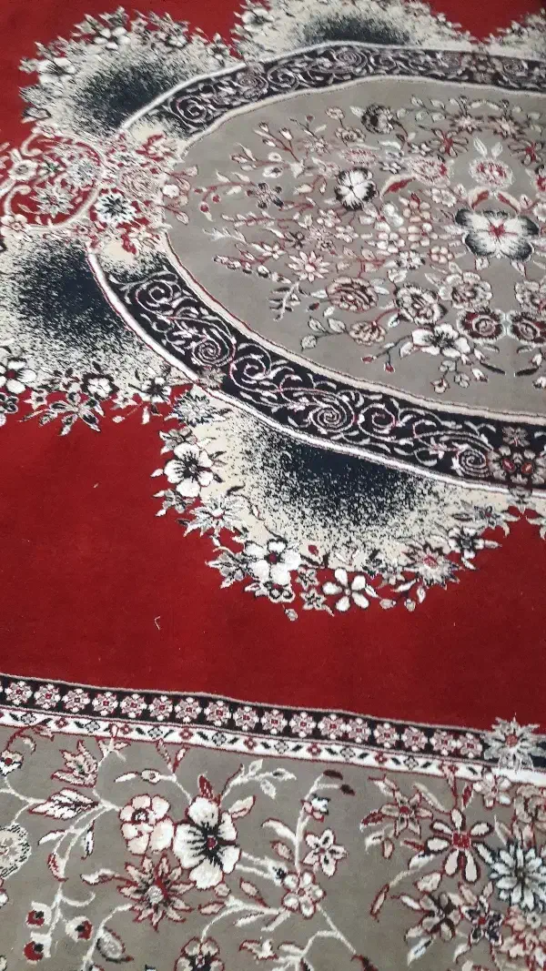 قالی ۱۲ متری|فرش|مرودشت, فرهنگ|دیوار