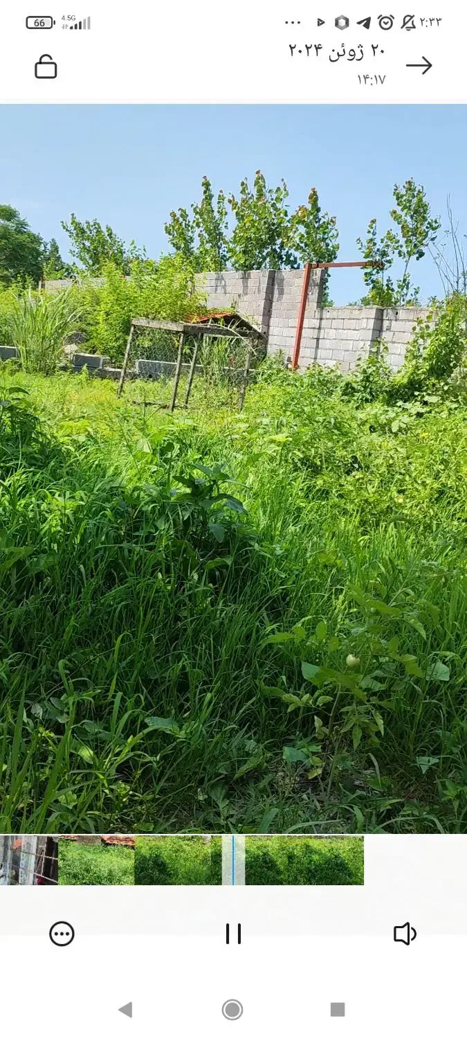 سگ .اسب آگهی بخونید|سگ|خرمآباد (تنکابن), |دیوار