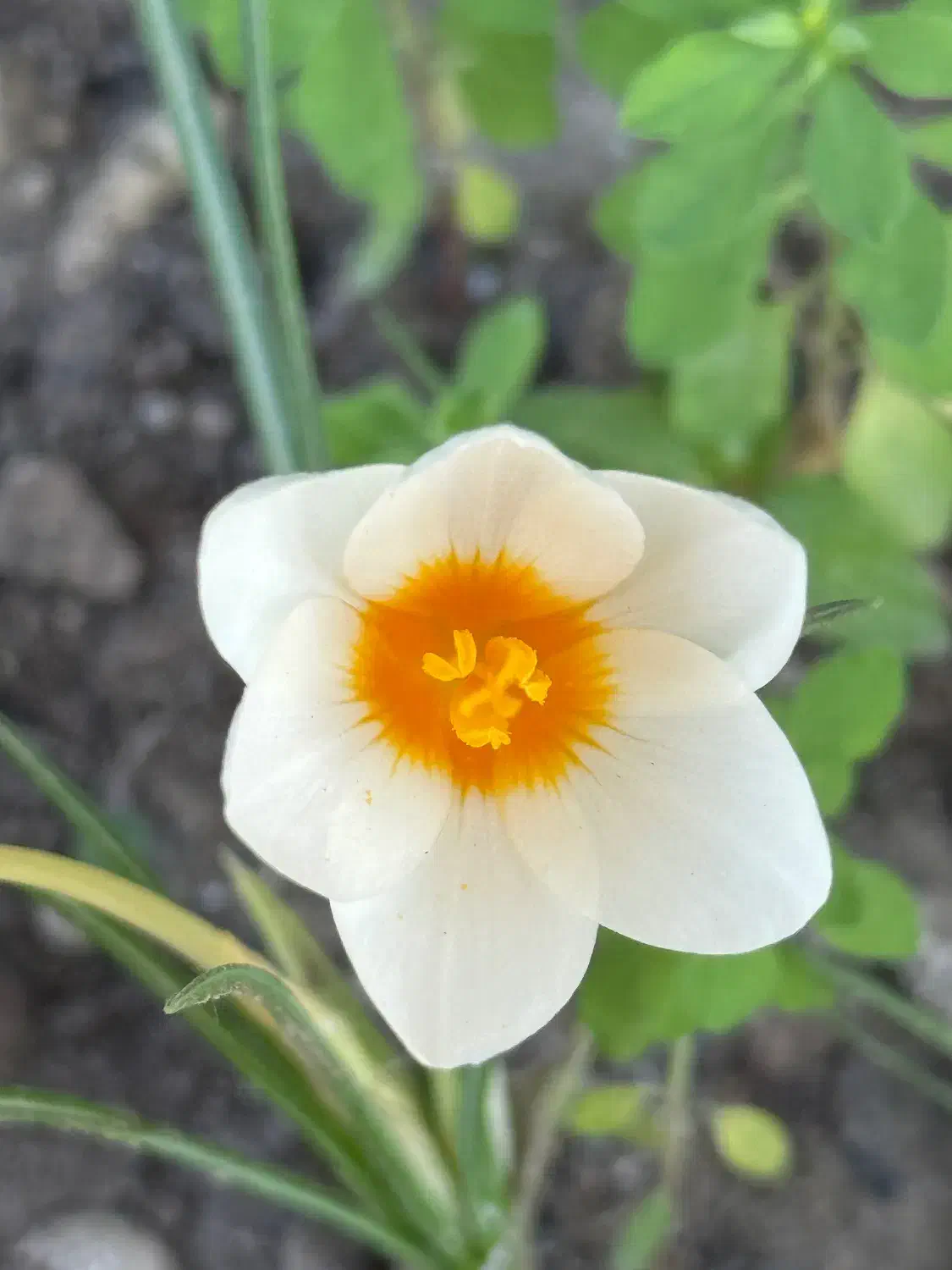 نیازمند نگهبان و نظافتچی باغ ویلا|استخدام سرایداری و نظافت|شیراز, حومه شیراز|دیوار