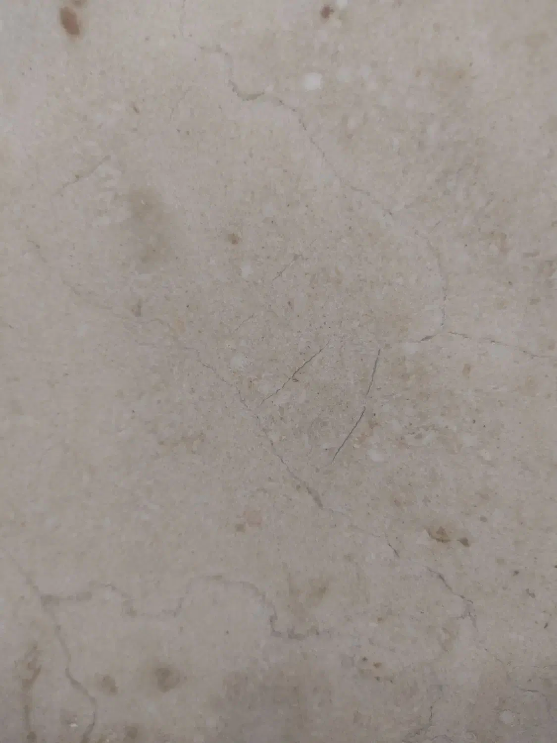 پاسپورت مفهود شده|اشیا|تهران, گلچین|دیوار