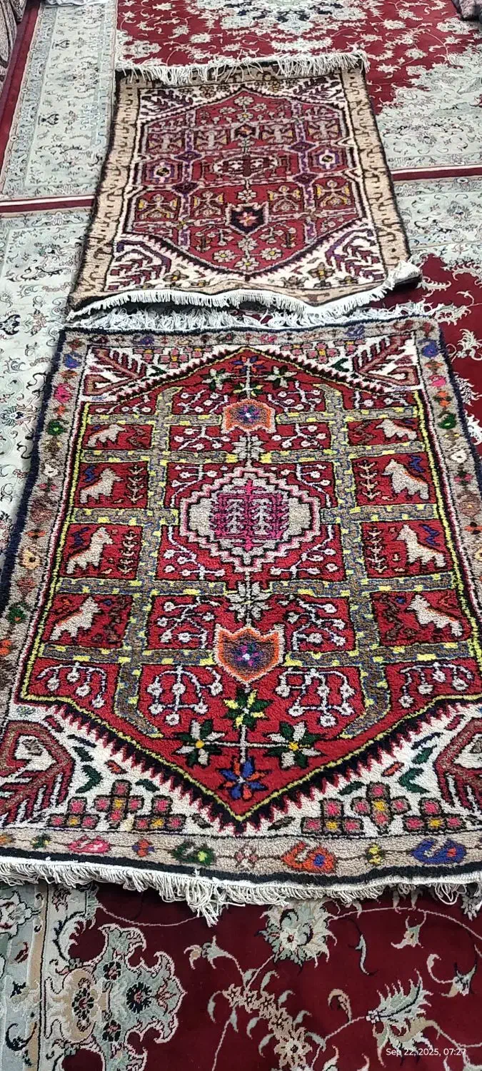 فرش دست باف|فرش|ری, علایین|دیوار