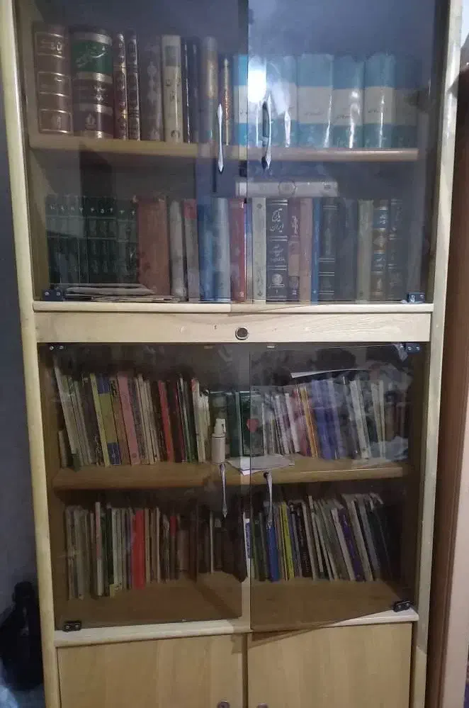 کتابخانه|کتابخانه، شلف، قفسه‌های دیواری|شیراز, معالی‌آباد|دیوار