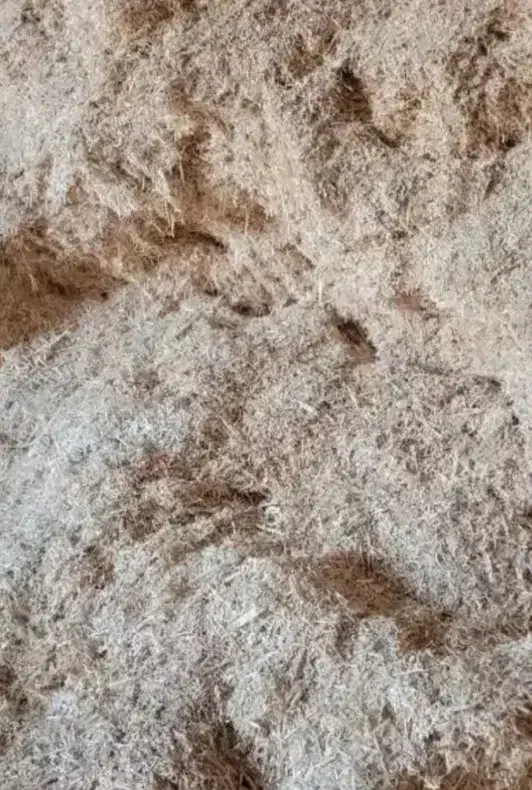 کاه گندم|لوازم جانبی حیوانات|ایجرود, |دیوار