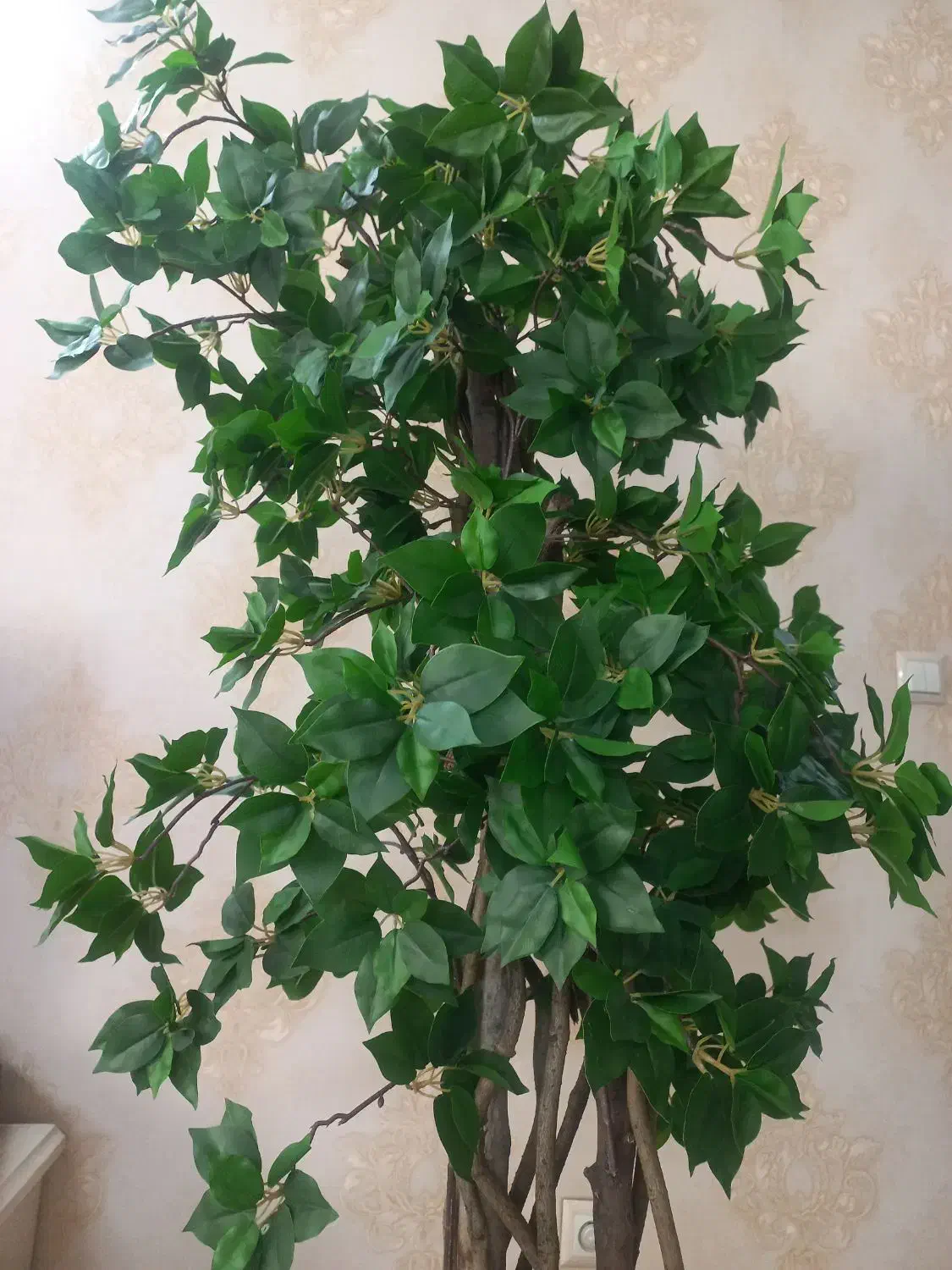 درختچه مصنوعی مینیاتوری با گلدان چوبی نو نو|گل مصنوعی|ری, علایین|دیوار