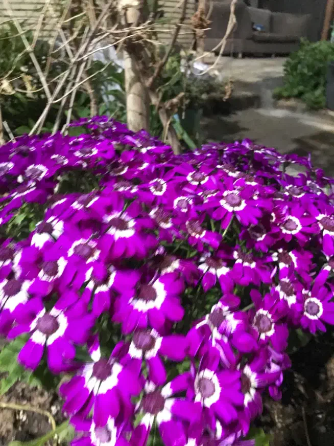 واحد آپارتمان فاز هفت|فروش آپارتمان|بندر ماهشهر, |دیوار