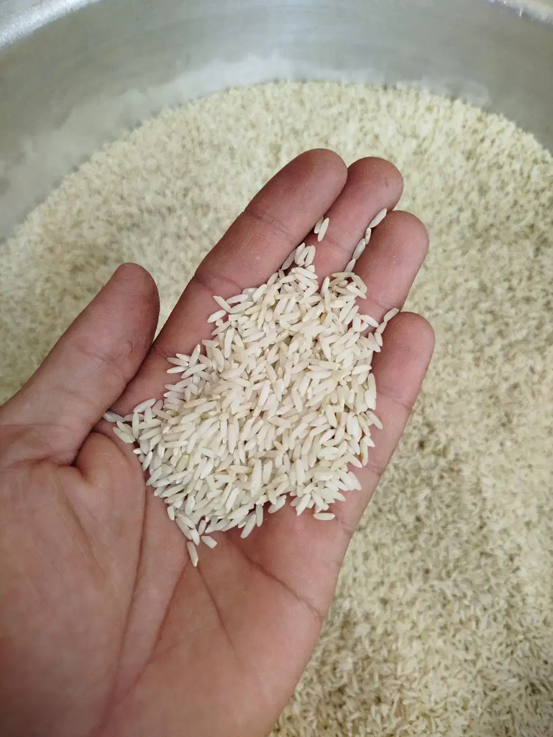 برنج کاظمی|خوردنی و آشامیدنی|تهران, امانیه|دیوار