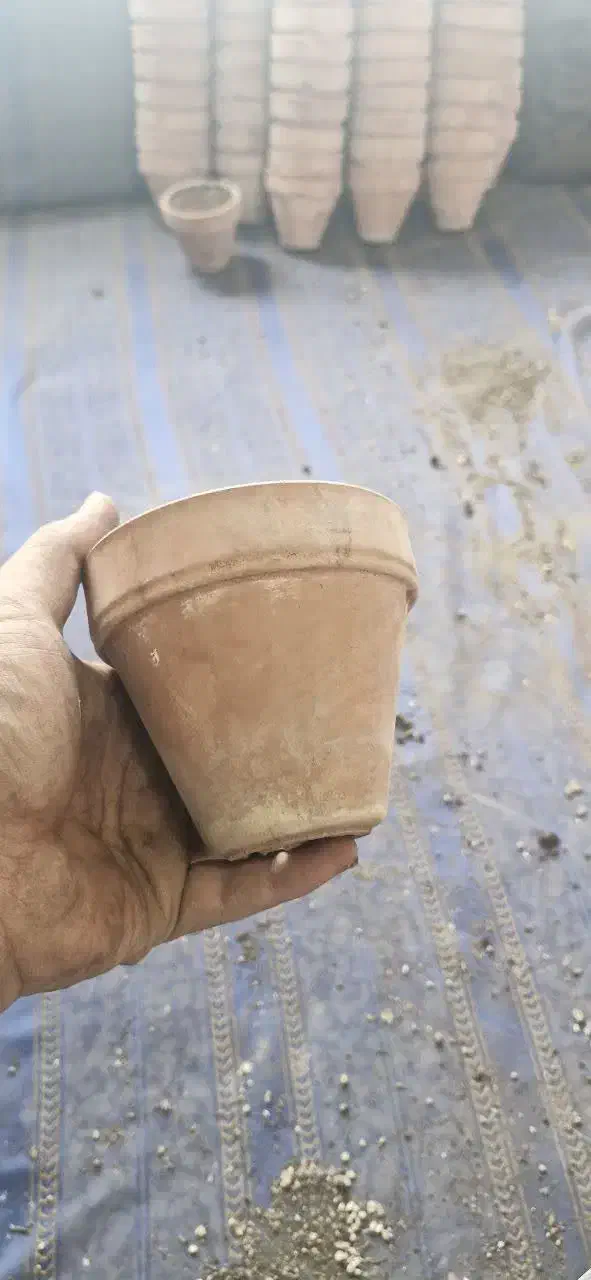 گلدان سفالی|عمده‌فروشی|ماهدشت, |دیوار