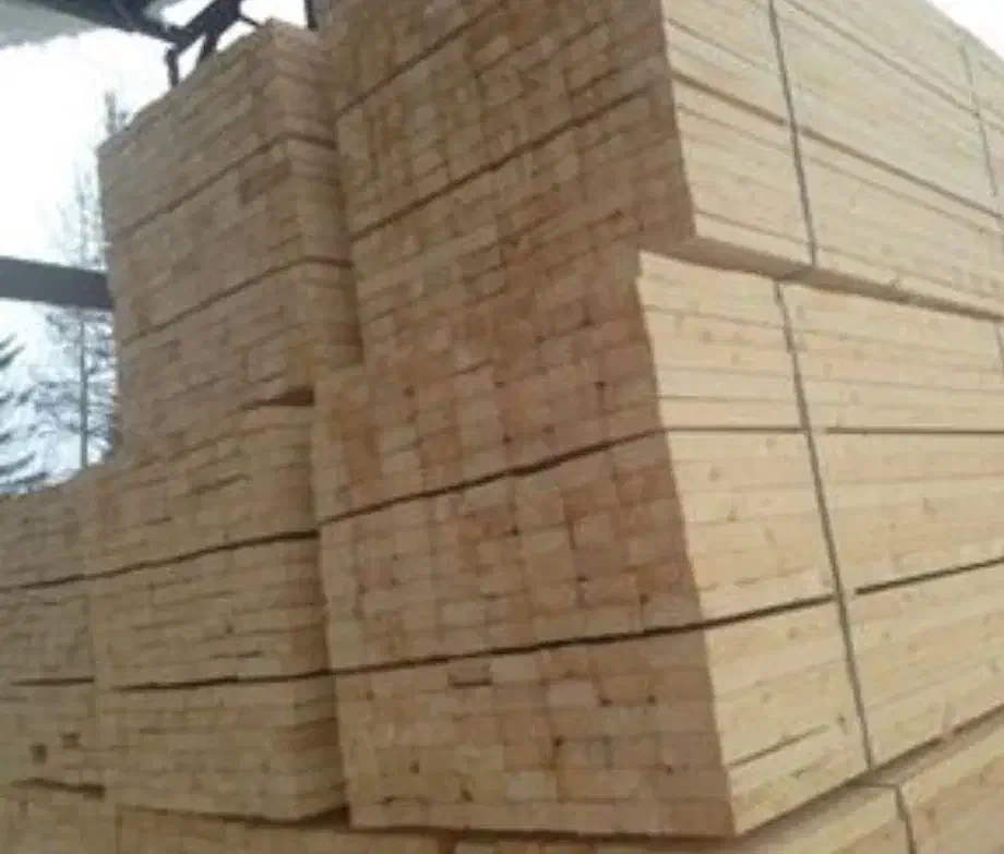 بورس انواع تخته نراد روسی جنگلی|عمدهفروشی|رشت, کوی طالقانی|دیوار