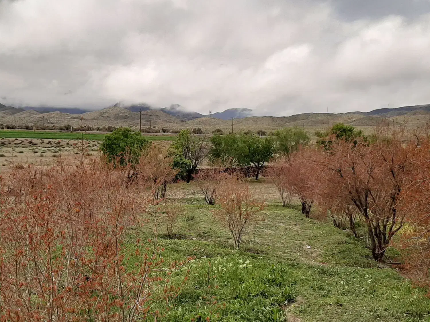 زمین|فروش زمین و ملک کلنگی|ارزوئیه, |دیوار