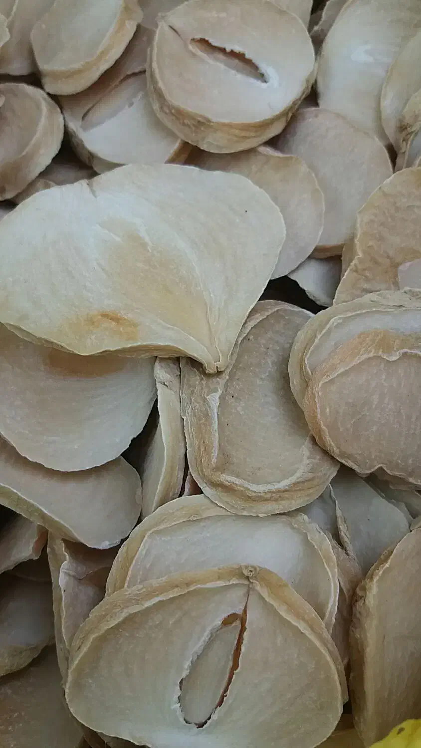 سیر و موسیر همدان|خوردنی و آشامیدنی|قم, دانش|دیوار