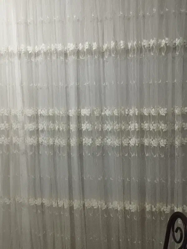 پرده|پرده، رانر، رومیزی|رشت, حمیدیان|دیوار