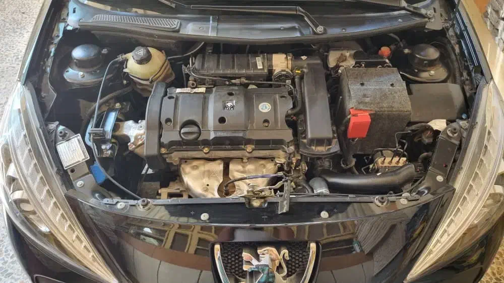 پژو ۲۰۷ پانورما ..فروش فوری|خودرو سواری و وانت|بوشهر, |دیوار