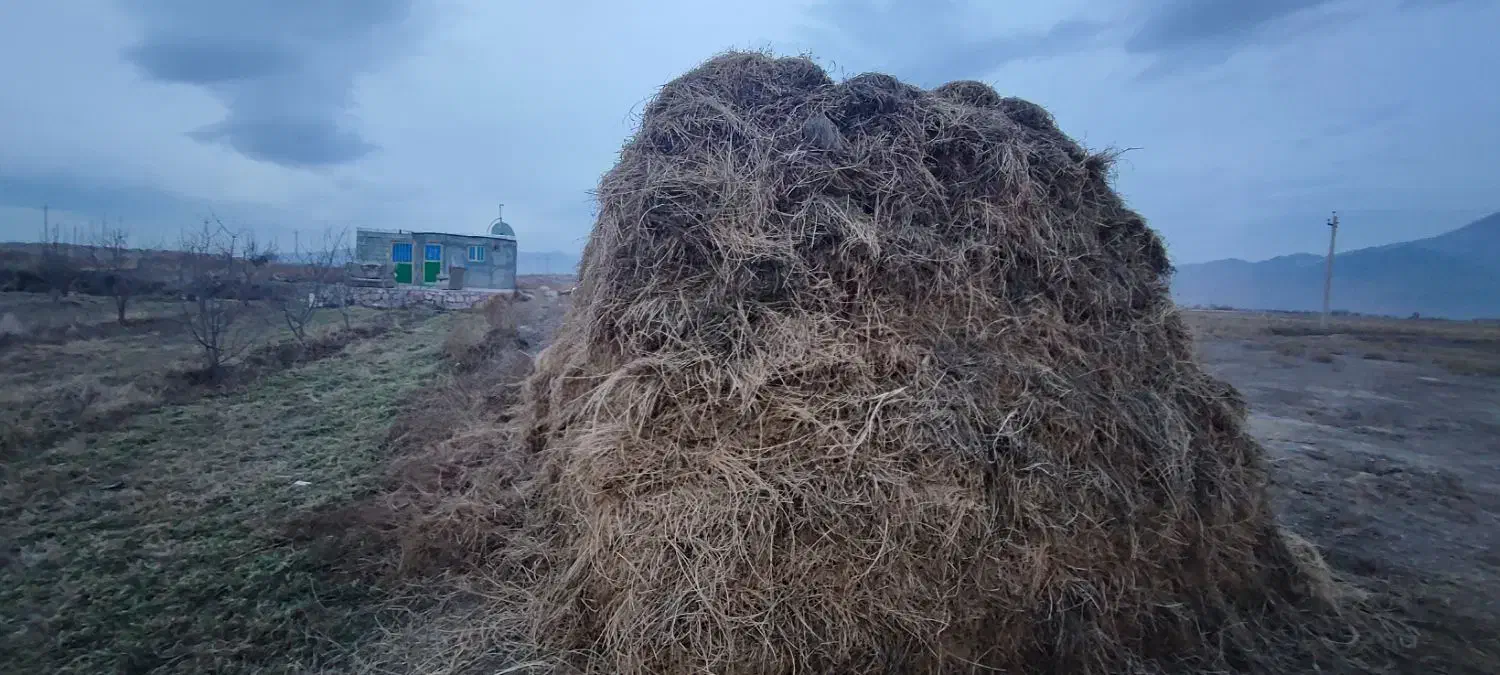 یونجه|لوازم جانبی حیوانات|خوی, |دیوار