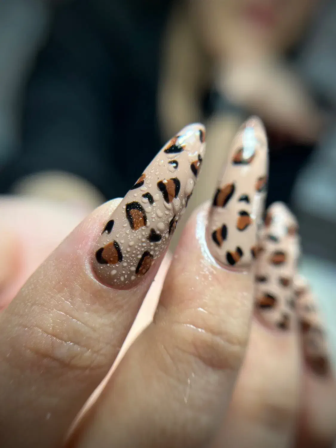 کاشت ناخن تخفیفی|خدمات آرایشگری و زیبایی|رشت, معلم|دیوار