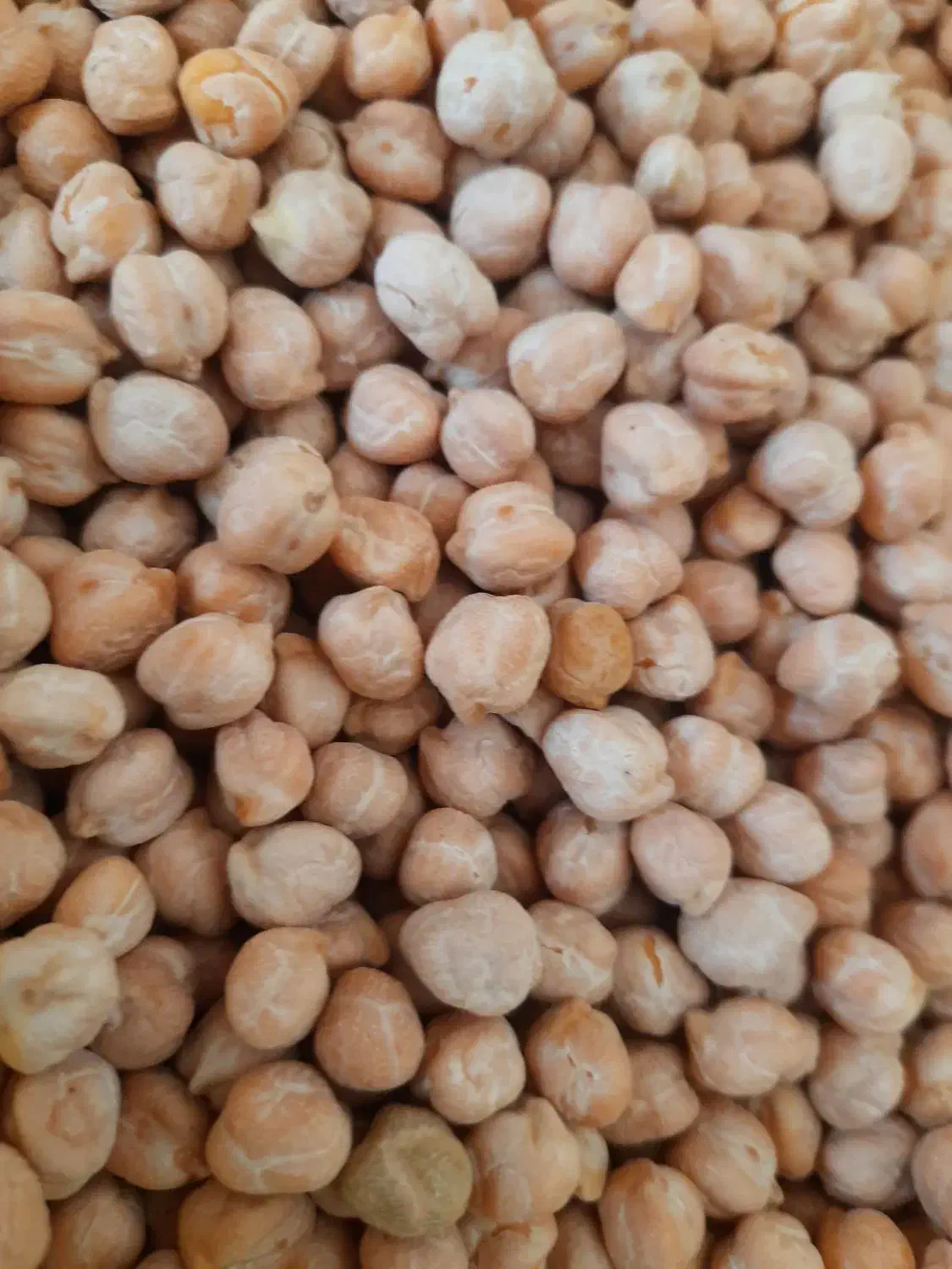 برنج و حبوبات فریدونی قیمت مناسب مناسب شادونه۳۴۰|خوردنی و آشامیدنی|بروجرد, |دیوار