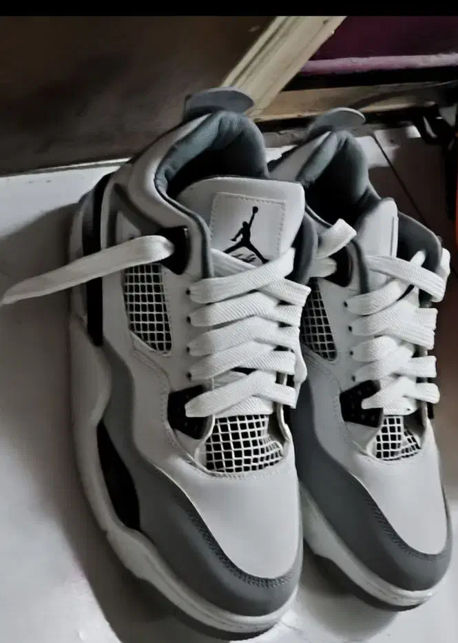 کفش|کیف، کفش، کمربند|مرند, |دیوار