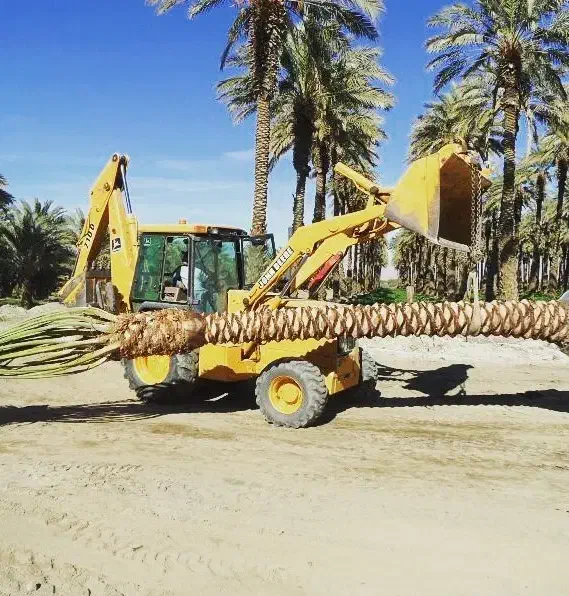 نخل تنه دار سه متر تا 15متر|خدمات باغبانی و درختکاری|کاشان, بازار کاشان|دیوار